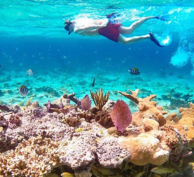 Semi-submarine and snorkeling