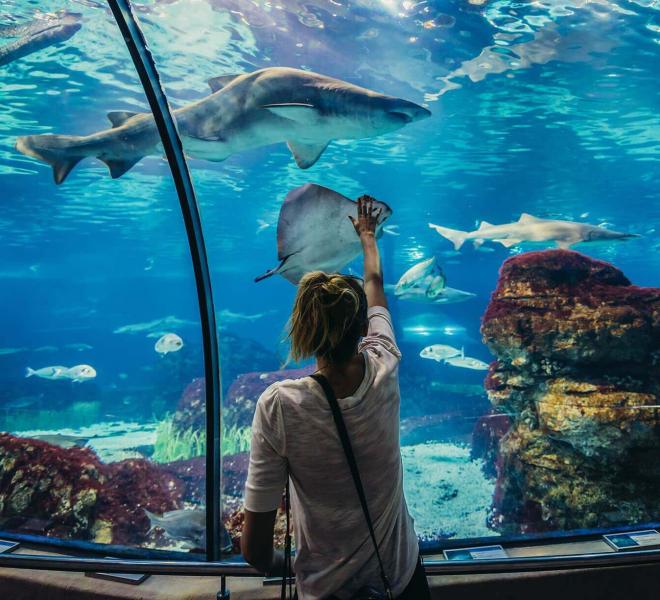 Grand Aquarium Hurghada