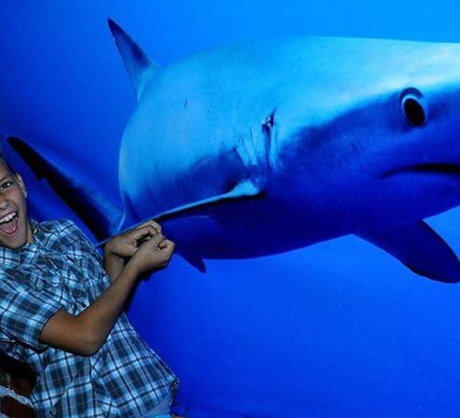 Grand Aquarium Hurghada