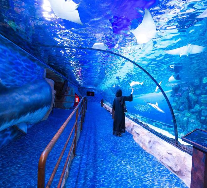 Grand Aquarium Hurghada