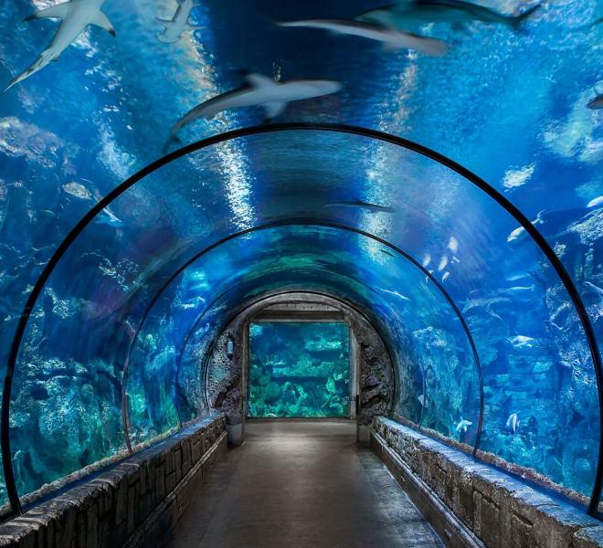 Grand Aquarium Hurghada