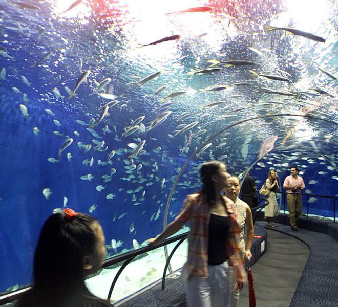 Grand Aquarium Hurghada