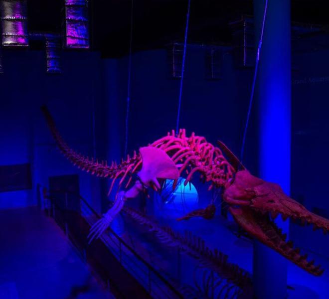 Grand Aquarium Hurghada