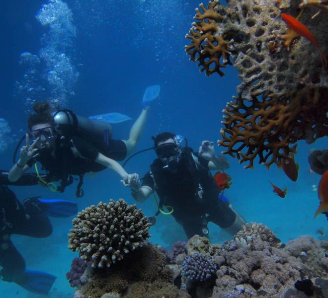 Diving and island trip Hurghada Red Sea experience