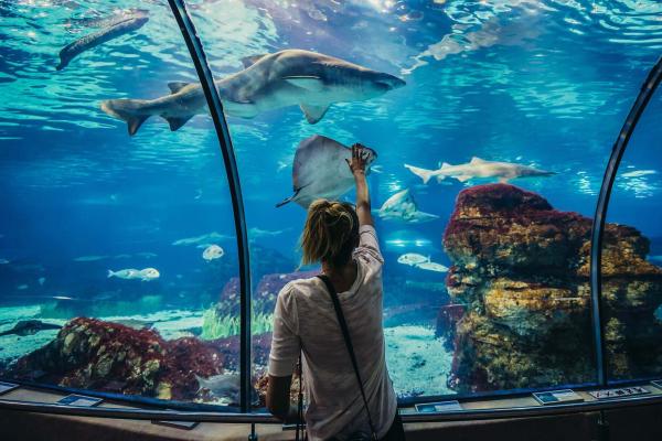 Grand Aquarium Hurghada