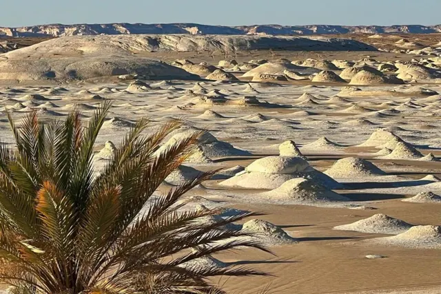 White Desert