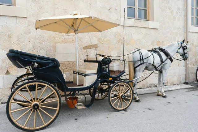 Carriage riding