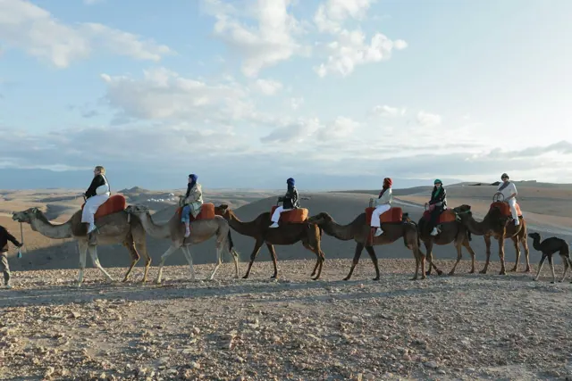 Camel Riding 2h