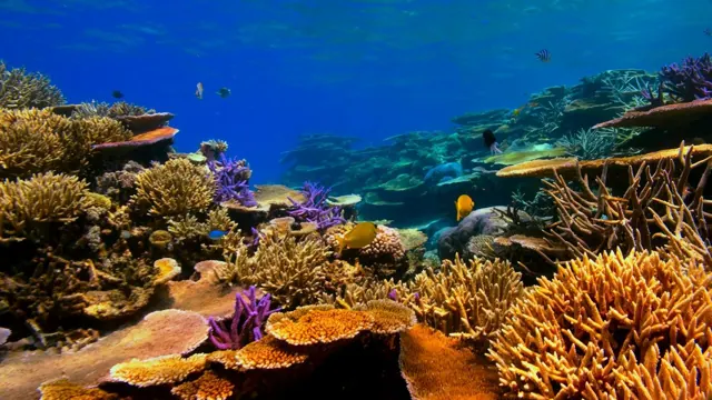 Things to do in Hurghada: the 20 best activities and excursions
