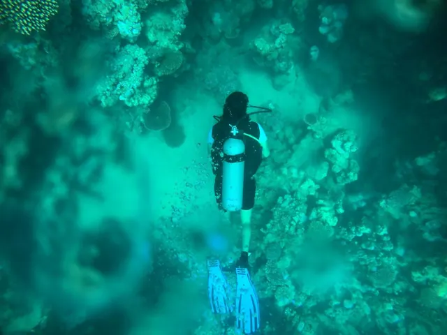 Island + Diving