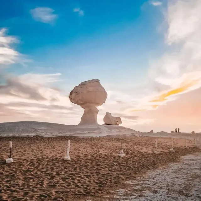 White Desert 2 Days and 1 Night Camping