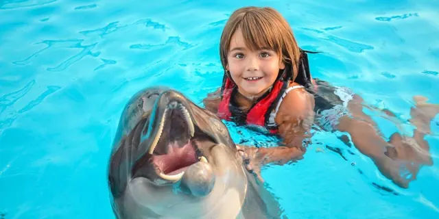 Shooting with dolphins