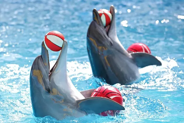 Hurghada with kids: the best family activities
