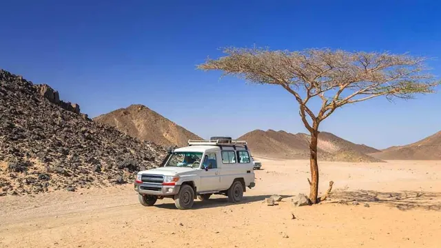 Super Safari