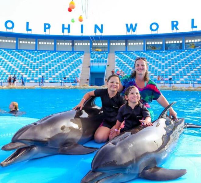 Dolphin show hurghada