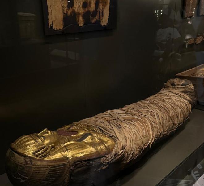 The New Grand Egyptian Museum Of Cairo